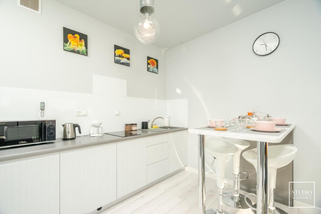 Apartament Modern Appartamento Wadowice Esterno foto